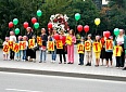 Берегите пешеходов! Берегите пешеходов!