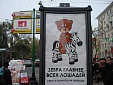 Зебра главнее всех лошадей Зебра главнее всех лошадей